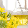 Biomass for Biofuels photo