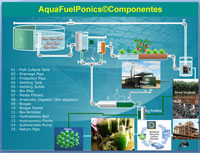 Biomass for Biofuels photo